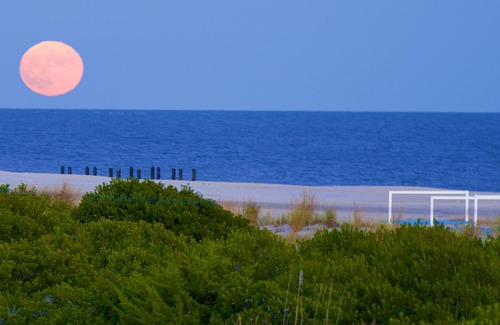Cape May Apartamento | Oceanfront Property Suite Kitchenette with a Private Bedroom and a Queen Bed