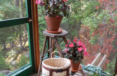 Gouldsboro Cabaña | Impresionantes vistas desde Tree Tops Cottage, cerca de Acadia Ntl. Sección Parque / Schoodic
