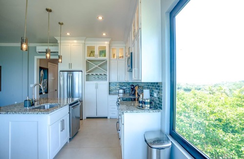 Placentia Condominio | Oceanfront Sunset Gecko Condo - Ground Floor 1B