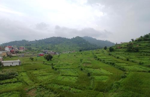 Majkhali Casa | Odyssey Stays Majkhali, Ranikhet