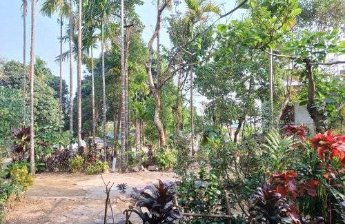 Mawlynnong Casa | Odyssey Stays Mawlynnong