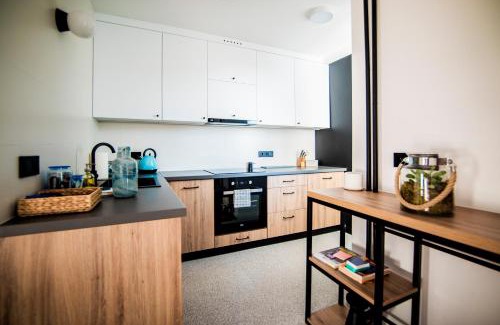 Katowice Apartamento | Okno na Spodek