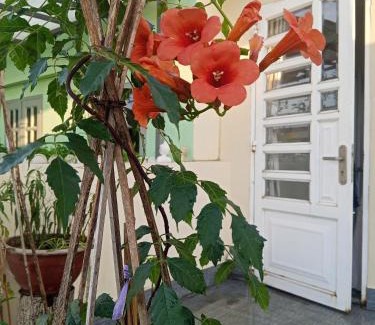 Binh Thanh Casa | Ola's Home