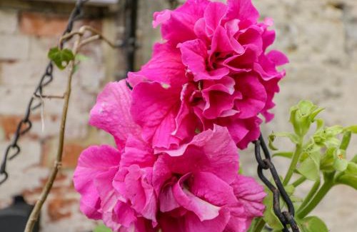 Lyneham Casa | Old Cart Shed