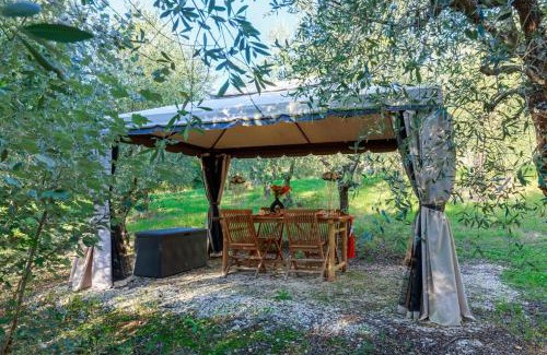 Settignano Casa | Olive Garden Loft Relax among Olive Trees and Gazebos