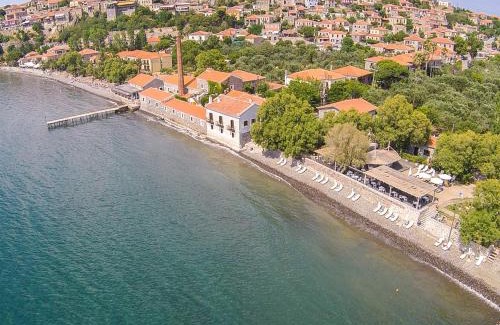 Mithimna Hotel | Olive Press Hotel