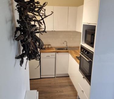 Frankston Apartamento | Olivers Hill apartment