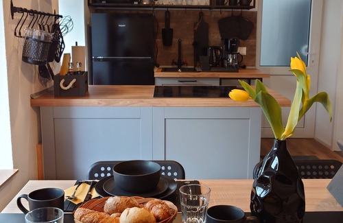 Bautzen Condominio | On the edge of the historic old town, vacation apartment right in the center - 04 Business