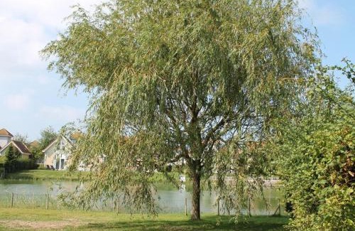 Kamperland Casa | on the lake Comfortable holiday residence