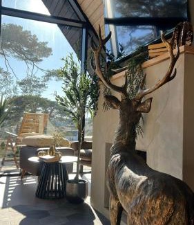 Zlatibor Casa | One & Only - Peace For You, Zlatibor