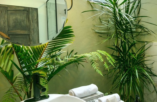 Polanco Hotel | Orchid House Mexico City