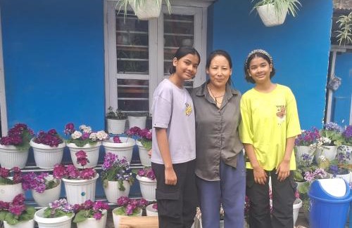 Dirang Casa | Orchid Valley Homestay