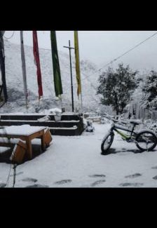 Dirang Casa | Orchid Valley Homestay