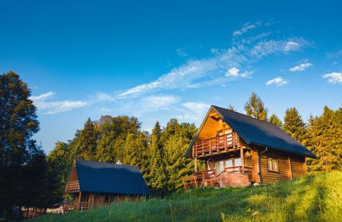 Olszanica Casa | Osada Dzika - domy z bali