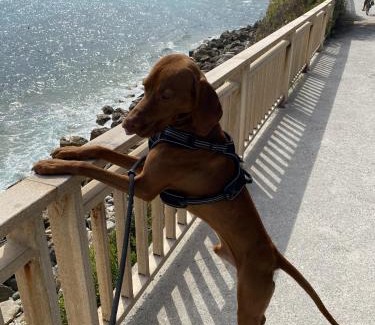 Leichlingen Apartamento | Oslo: Messe-/Business-/Ferienwohnung