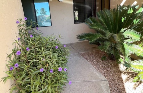 Central Scottsdale Condominio | Excelente y actualizado condominio en el primer piso de 2B que retrocede hasta Green Belt