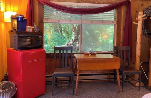 Forks Apartamento | Owl Cottage Suite near Olympic National Park