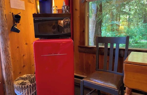 Forks Apartamento | Owl Cottage Suite near Olympic National Park