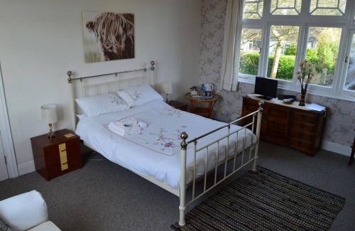 Redruth Casa | Owl House