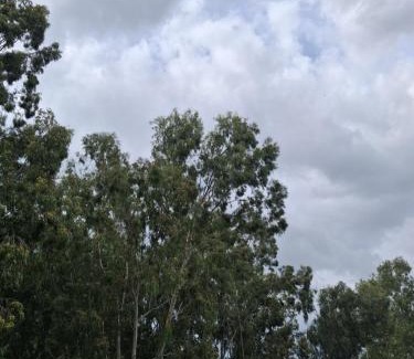 Bengaluru Apartamento | OXEMATE Service Apartment