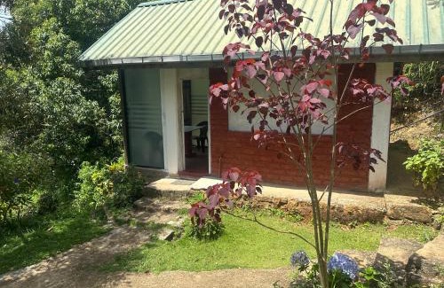 Hewaheta Otro | OYA LANGA HENA - Green Park