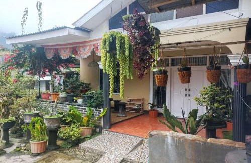 Kejajar Hotel | OYO 94841 Alodia Homestay Family