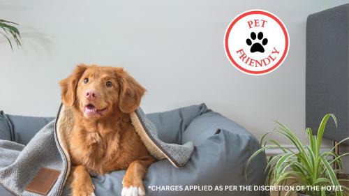 Newtonmore Hotel | OYO Braeriach Hotel, Highlands Scotland