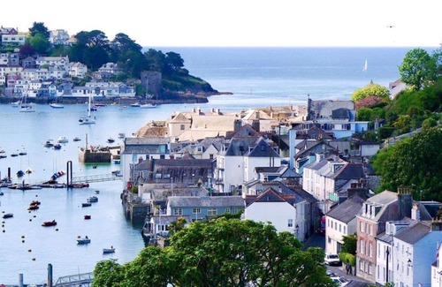 Fowey Casa | Oystercatcher