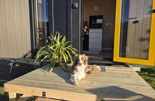 Wesburn Casa | Paddock & Peak by Tiny Away