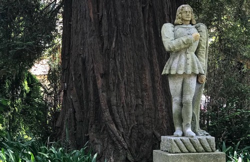 Padron Apartamento | Padrón Centro, Camino De Santiago