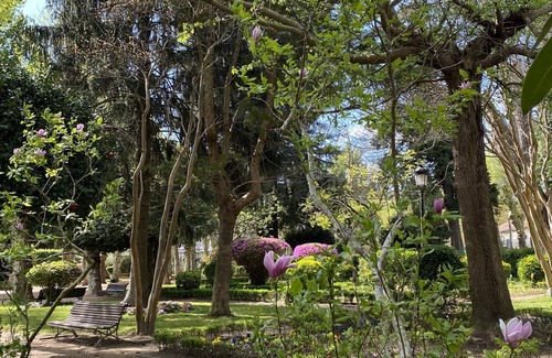 Padron Apartamento | Padrón Centro, Camino De Santiago