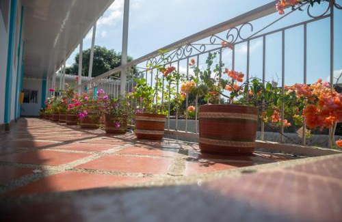 Dibulla Hotel | Palaa Mujuii Hotel