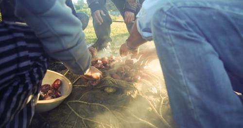 Castro Apartamento | Palafito del Carpintero