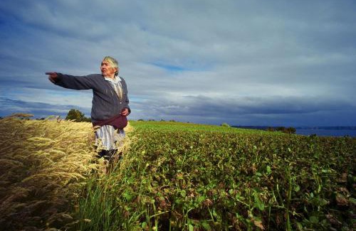 Castro Apartamento | Palafito del Carpintero