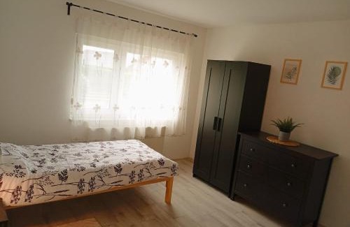 Sisak Apartamento | Palanka