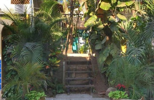 North End Cabina | Palapa Chili #