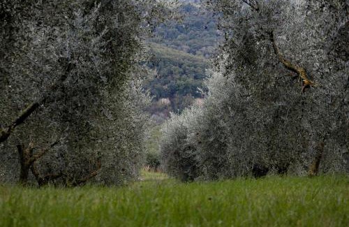Montecampano Casa | Palazzo Cansacchi
