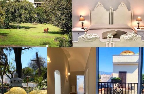 Mount Vesuvius - Pompei Cama Y Desayuno | Palazzo D'Amaro Historical Residence