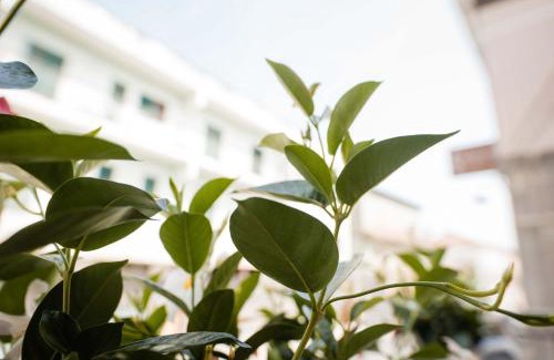 Castelnuovo Cilento Cama Y Desayuno | Palazzo ReSilente- B&B dell'Infopoint