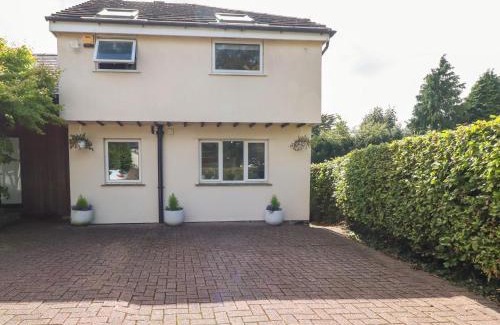 Burton Casa | Palm Court