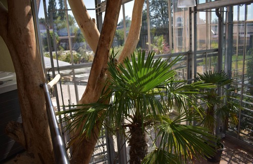 Entraching Condominio | Palm Garden Luxury Pure