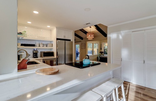 Oceanside Casa | Palm-lined hideaway with pool, hammock, & spacious interior - dog-friendly