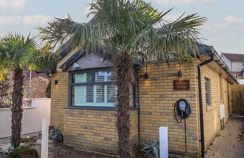 Sandown Cabaña | Palm Tree Cottage
