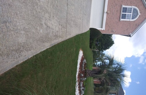 Lithonia Casa | Palm Trees & Water Falls California Living in the South