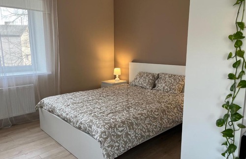 Regi Apartamento | Palova Brown