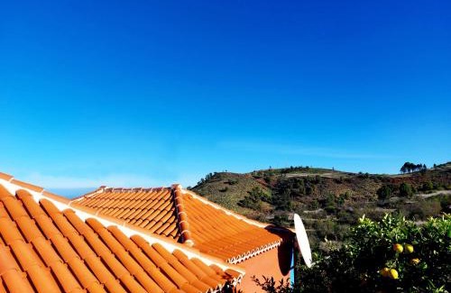 Santo Domingo Casa | Panchita