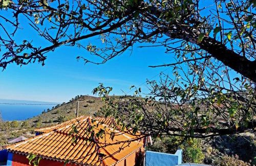 Santo Domingo Casa | Panchita