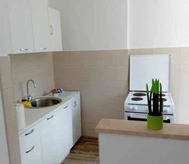 Pluzine Apartamento | Panorama Plužine Apartment