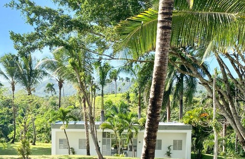 Los Brazos Casa | Papaya Casita - On an organic farm