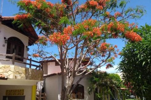 Paracuru Casa | Paracuru Kite Village